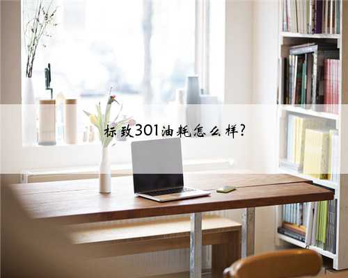 标致301油耗怎么样?