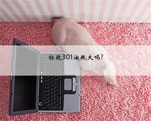 标致301油耗大吗?