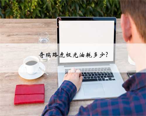 奇瑞路虎极光油耗多少?