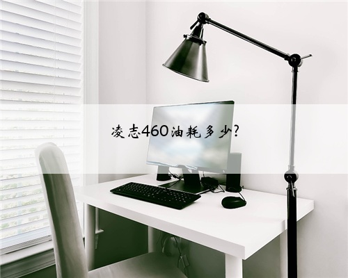 凌志460油耗多少?