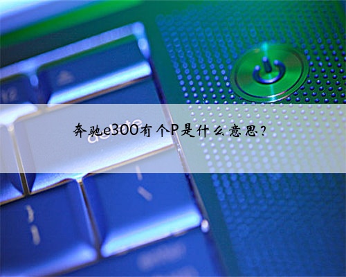 奔驰e300有个P是什么意思?
