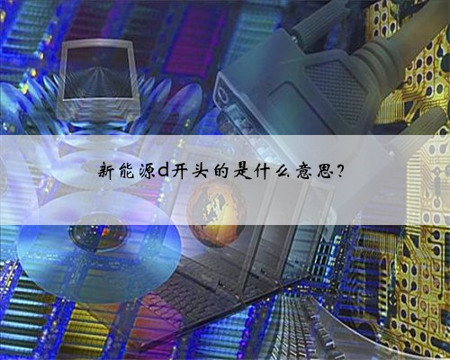 新能源d开头的是什么意思？