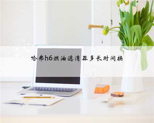 哈弗h6燃油滤清器多长时间换