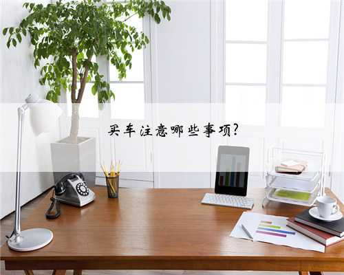 买车注意哪些事项?