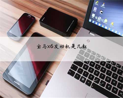 宝马x6发动机是几缸