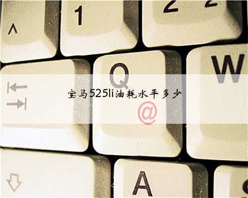 宝马525li油耗水平多少