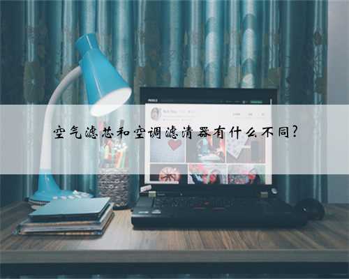 空气滤芯和空调滤清器有什么不同?