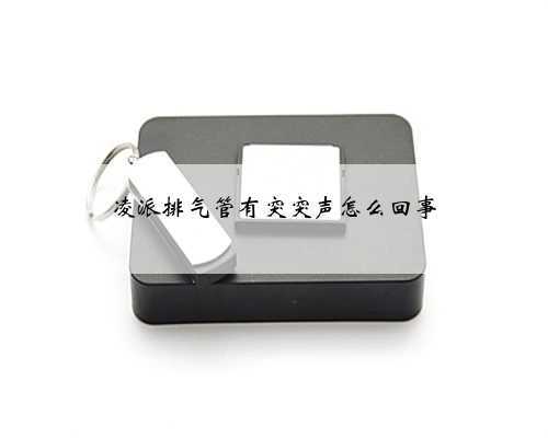 凌派排气管有突突声怎么回事