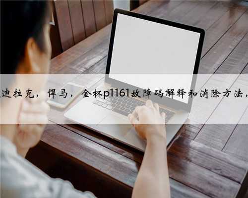 通用，别克，雪佛兰，凯迪拉克，悍马，金杯p1161故障码解释和消除方法，P11