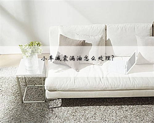 小车减震漏油怎么处理?