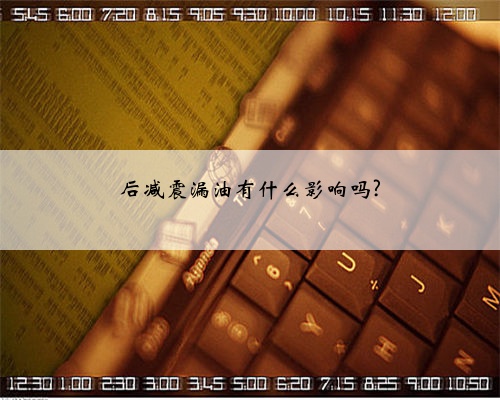 后减震漏油有什么影响吗?