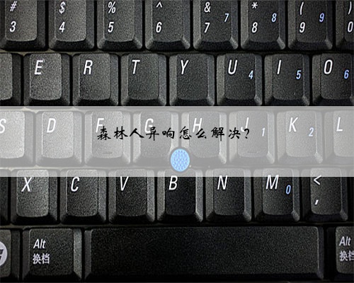 森林人异响怎么解决?