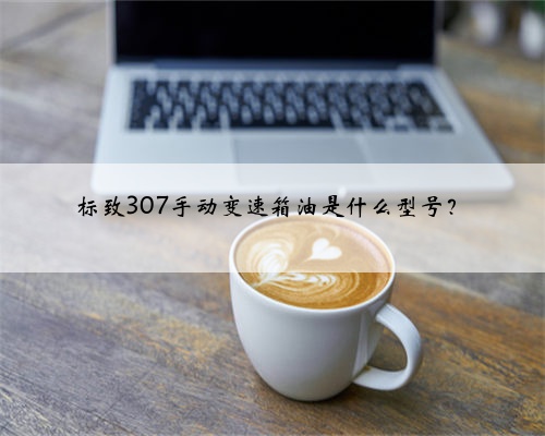 标致307手动变速箱油是什么型号？