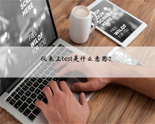 仪表上test是什么意思?