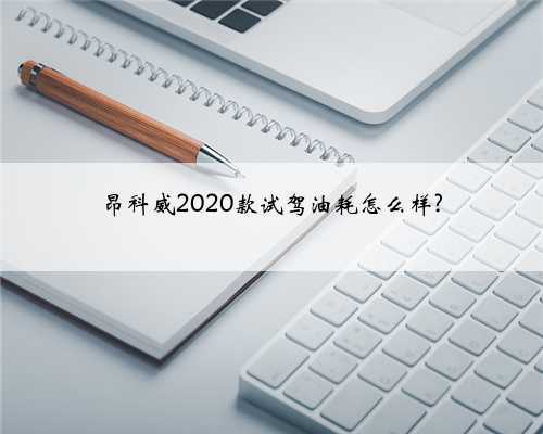 昂科威2020款试驾油耗怎么样?