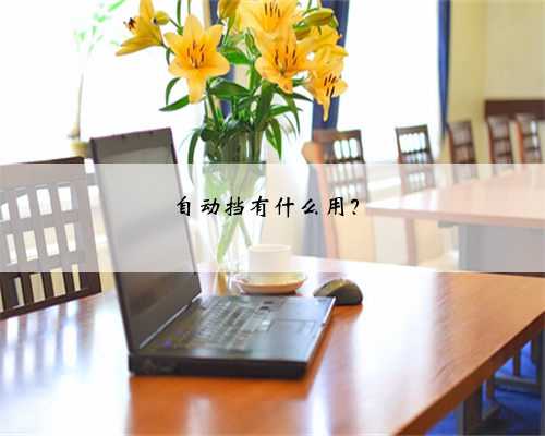 自动挡有什么用？
