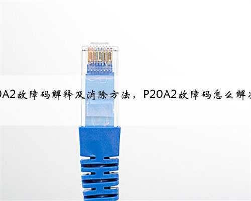 p20A2故障码解释及消除方法，P20A2故障码怎么解决？