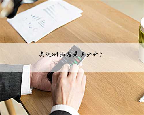奥迪a4油箱是多少升？
