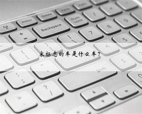 宋标志的车是什么车?