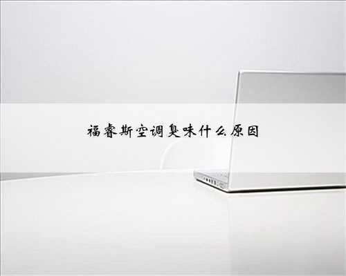 福睿斯空调臭味什么原因