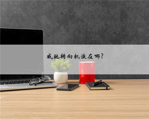 威驰转向机液在哪?