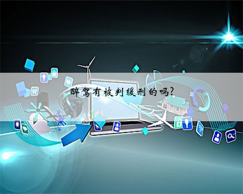 醉驾有被判缓刑的吗?