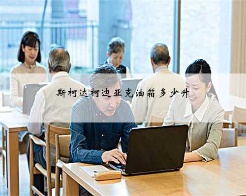 斯柯达柯迪亚克油箱多少升