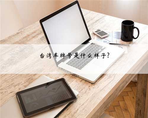 台湾车牌号是什么样子?