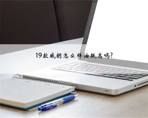 19款威朗怎么样油耗高吗?