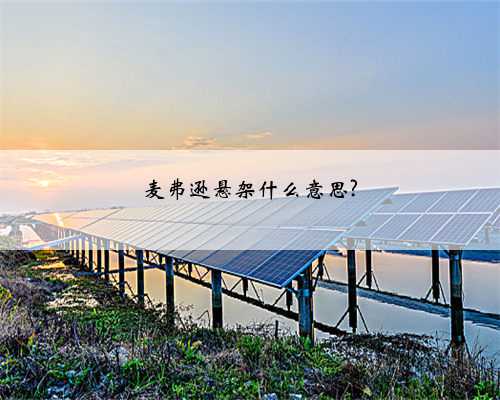 麦弗逊悬架什么意思?