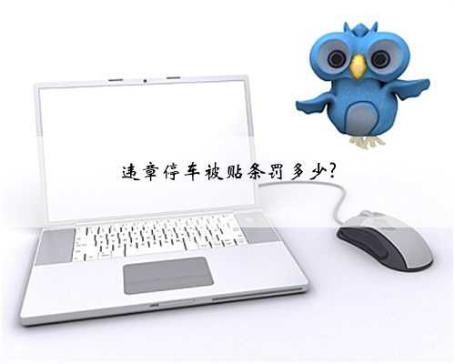 违章停车被贴条罚多少?