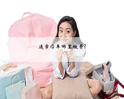 违章停车哪里缴费?