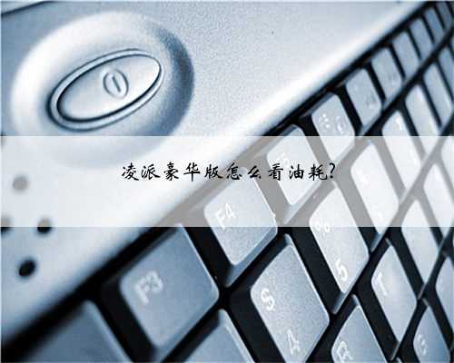 凌派豪华版怎么看油耗?