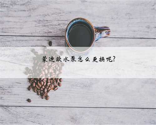 蒙迪欧水泵怎么更换呢?