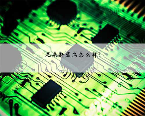尼桑新蓝鸟怎么样?