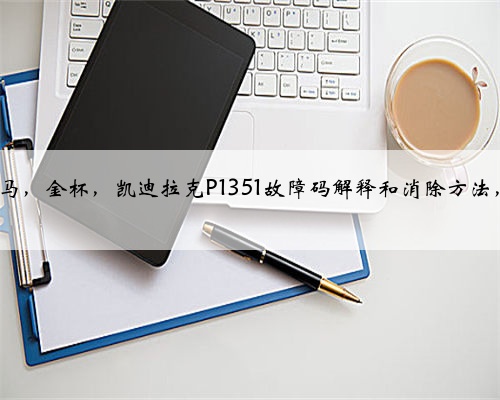 通用,别克,雪佛兰,悍马,金杯,凯迪拉克P1351故障码解释和消除方法,P13