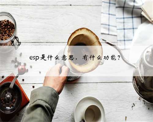 esp是什么意思,有什么功能?