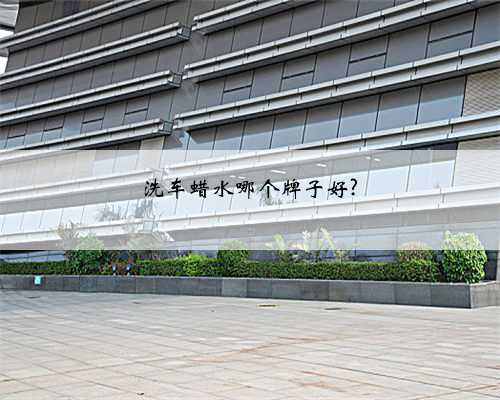 洗车蜡水哪个牌子好?