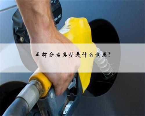 车牌分类类型是什么意思?