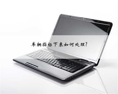 车辆指标下来如何处理?