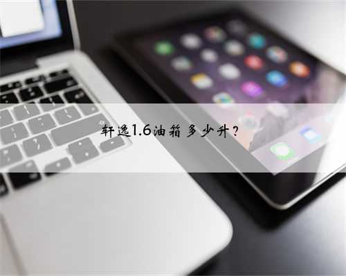 轩逸1.6油箱多少升?