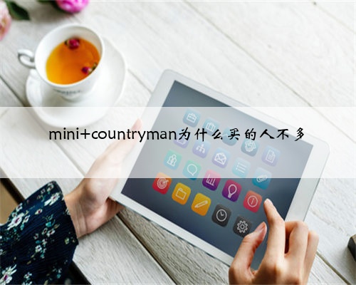 mini countryman为什么买的人不多