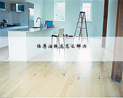 陆尊油耗高怎么解决