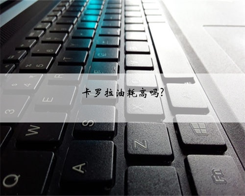 卡罗拉油耗高吗?