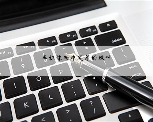 车标像两片发芽的嫩叶