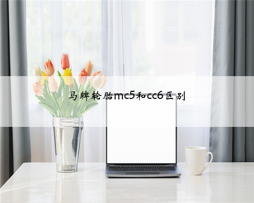 马牌轮胎mc5和cc6区别