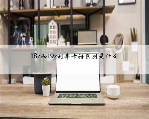 18z和19z刹车卡钳区别是什么