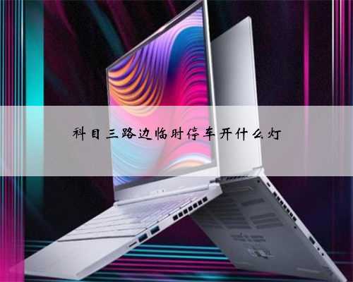 科目三路边临时停车开什么灯