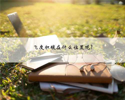 飞度积碳在什么位置呢?
