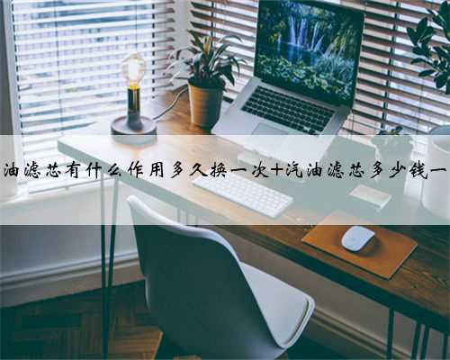汽油滤芯有什么作用多久换一次 汽油滤芯多少钱一个